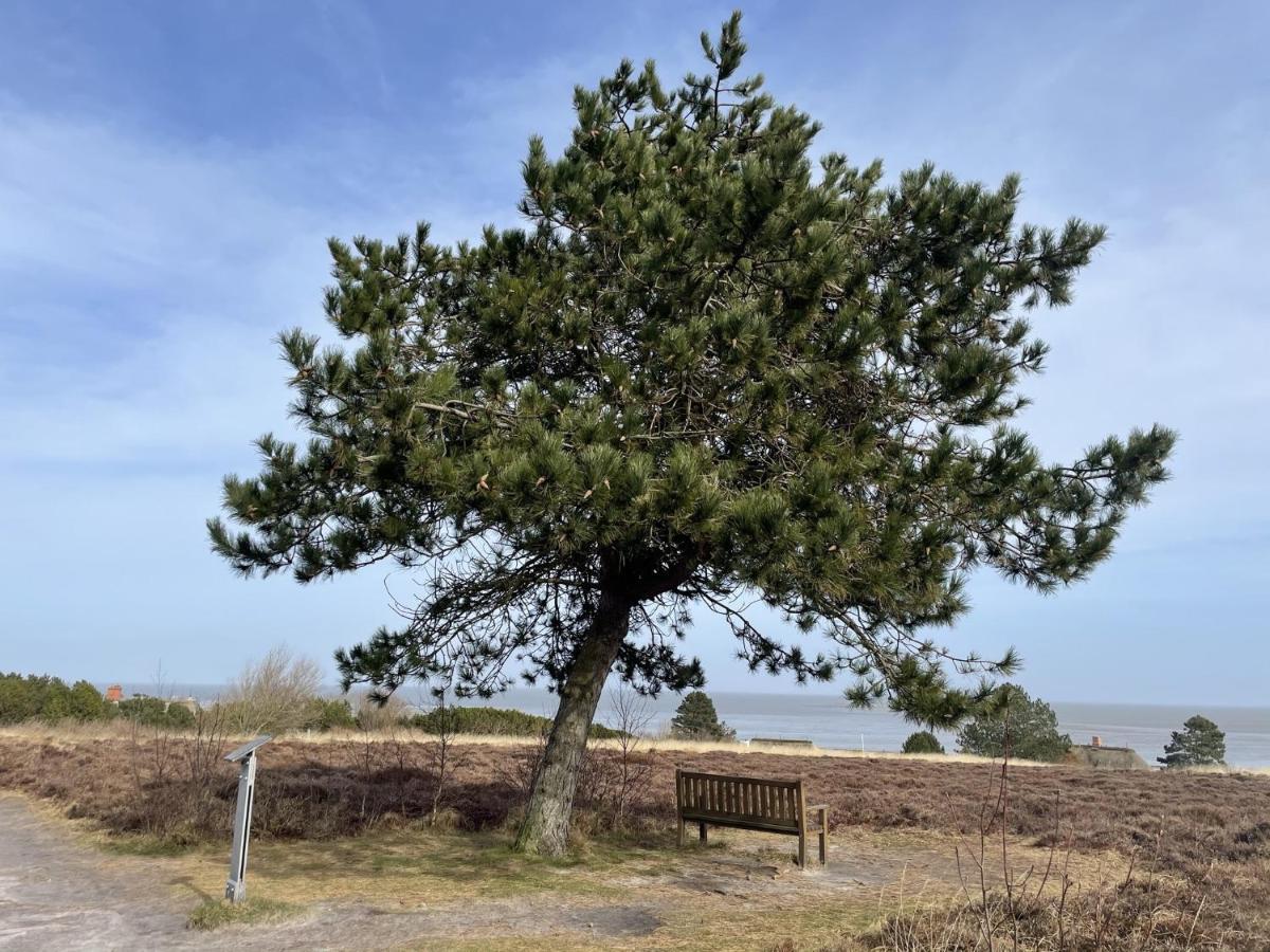 Apartament Sylter Residenz Westerland Zewnętrze zdjęcie